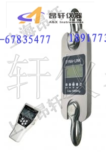 AXL-W-10噸數字測力計